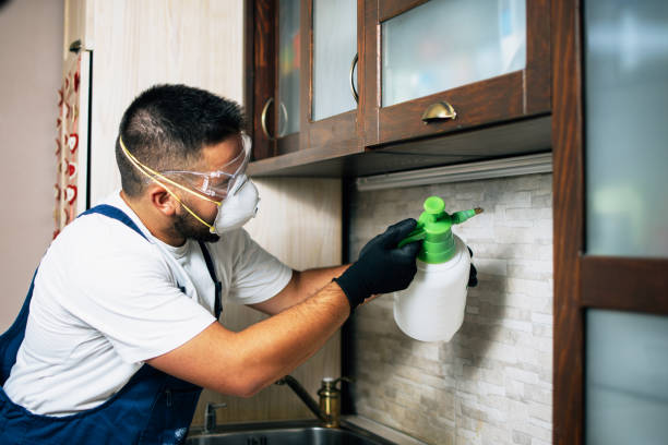 Best Local Pest Control Services  in Darien, GA