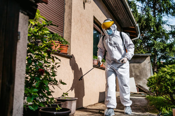 Best Pest Inspection Near Me  in Darien, GA