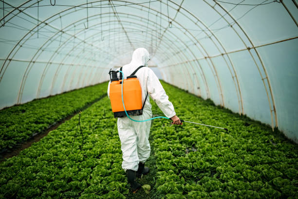 Best Pest Removal Services  in Darien, GA