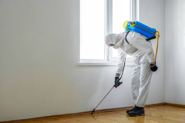 Best Pest Control Near Me  in Darien, GA
