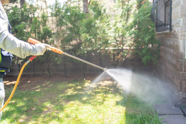 Best Bed Bug Extermination  in Darien, GA
