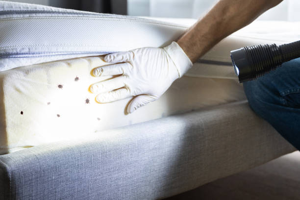Best Pest Prevention Services  in Darien, GA