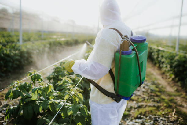 Best Mosquito Control Services  in Darien, GA